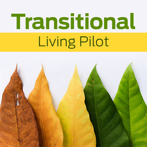 Transitional Living Pilot